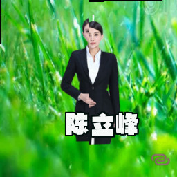 陈立峰